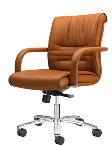 senior manageriale